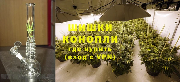 ГАЛЛЮЦИНОГЕННЫЕ ГРИБЫ Горно-Алтайск