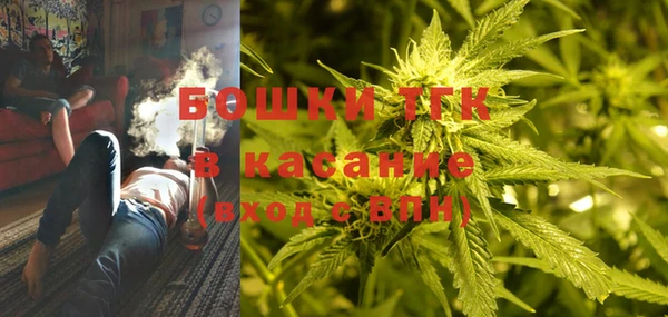 ГАЛЛЮЦИНОГЕННЫЕ ГРИБЫ Горно-Алтайск