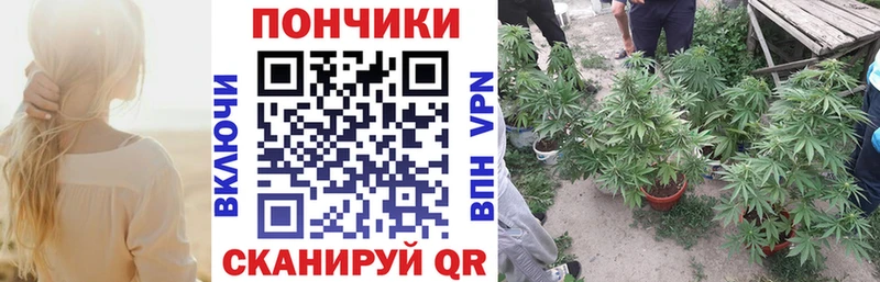 Купить закладки  Полярные Зори  МАРИХУАНА Ganja 